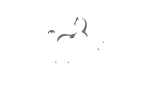 Lloyds